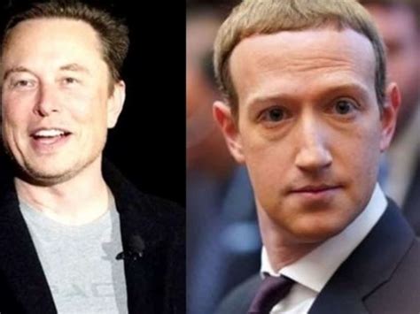 Musk Prepared For Battle At Zuckerbergs Residence Meta Founder Urges