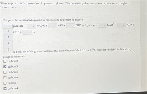 Solved Gluconeogenesis Is The Conversion Of Pyruvate To