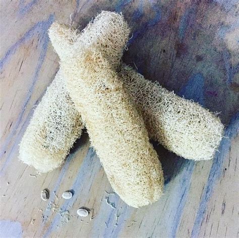 Natural Loofah Sponge Biodegradable Green Fairy