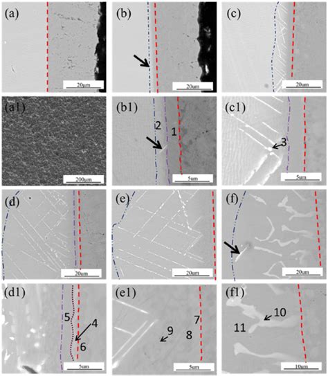 Microstructure And Composition Evolution Of A Single Crystal Superalloy