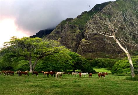 zip line kualoa ranch 4