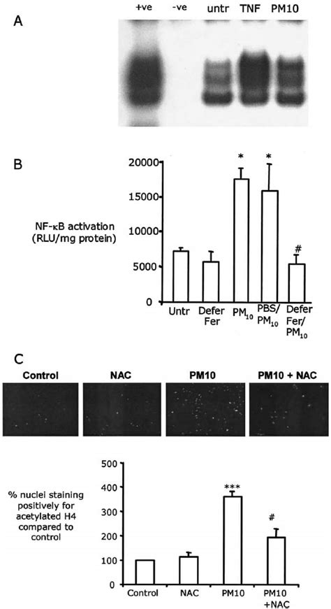 A PM 10 Enhanced DNA Binding Of The Transcription Factor NF B