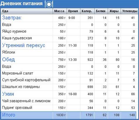 Дневник питания и тренировок: пример и шаблон скачать бесплатно