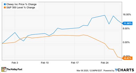 Why Chewy Stock Gained In February While The Market Crashed The