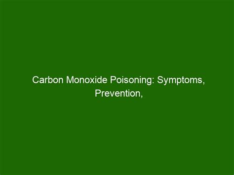 Carbon Monoxide Poisoning Symptoms Prevention And Warning Signs Health And Beauty