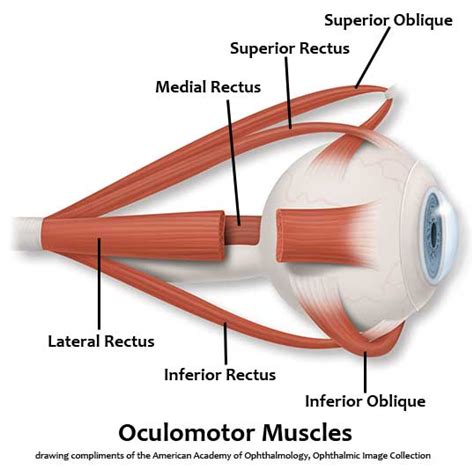 Classic Pediatric Ophthalmology And Strabismus Videos