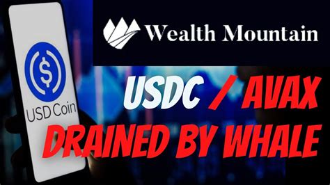 Wealth Mountain Usdc Drained By Whale Crypto Defi Passive