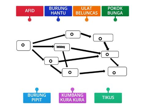 Siratan Makanan Hutan Labelled Diagram