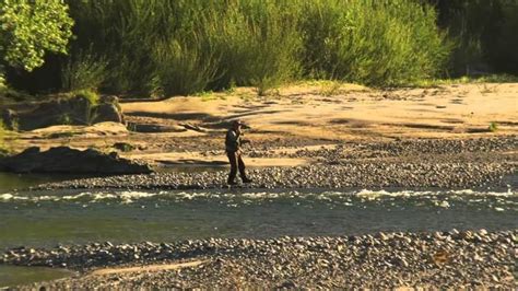 Motueka River - Alchetron, The Free Social Encyclopedia