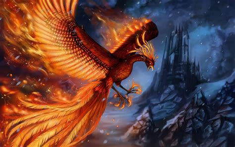 Beautiful Phoenix Wallpapers Top Free Beautiful Phoenix Backgrounds