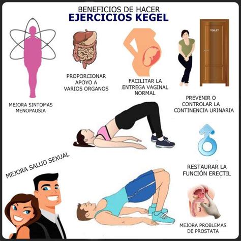 Ejercicios De Kegel Beneficios Objetivos Y Precauciones