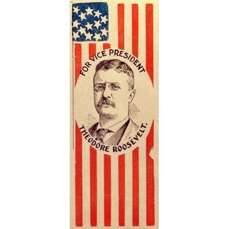 Campaign Poster For Theodore Roosevelt History (18 x 24) | Walmart Canada