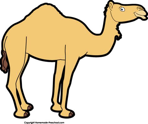 Camel Clipart Free Download Clip Art On Wikiclipart