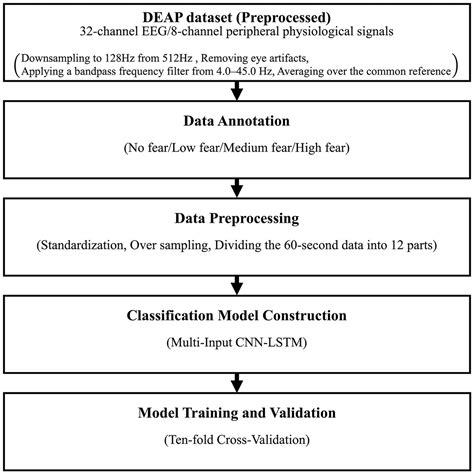 Frontiers Multi Input Cnn Lstm Deep Learning Model For Fear Level