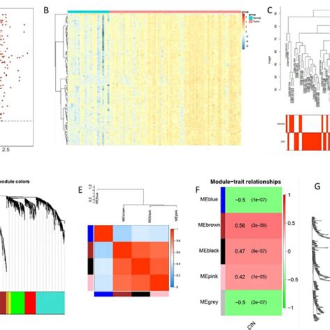 Differential Expression Of Genes Analyzed On GSE63514 Data Set A