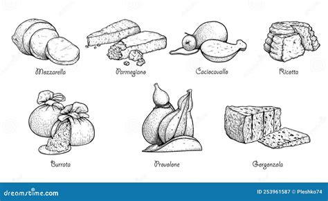 Hand Drawn Sketch Style Cheese Set Traditional Itailan Cheese