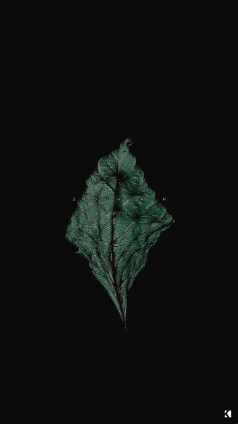 [100+] Dark Green Aesthetic Wallpapers | Wallpapers.com