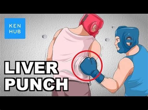 Why can't your body handle a punch to the liver? : r/MMA