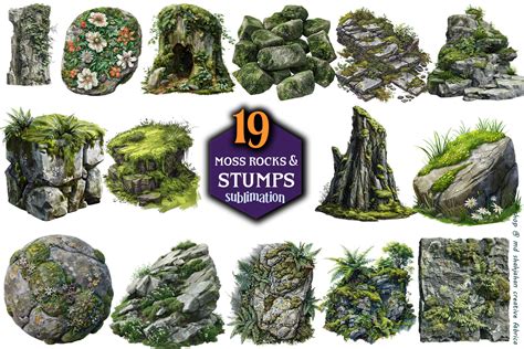 Moss Rocks And Stumps Clipart Graphic By Md Shahjahan · Creative Fabrica