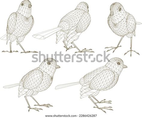 Sketch Vector Illustration Small Bird Wild Stock Vector (Royalty Free ...