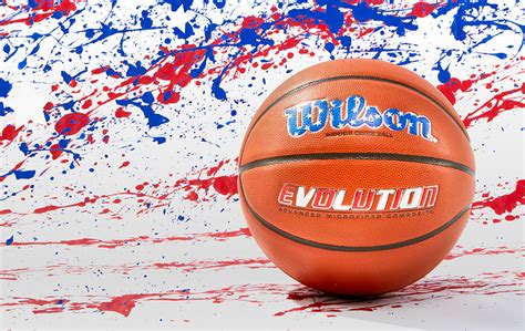 Wilson USA Special Edition Evolution Basketball