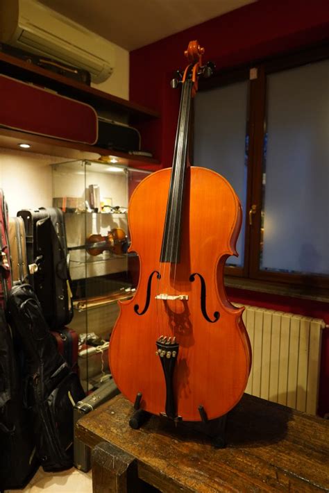 Violoncello Da Studio Usato Vc Anni Provenienza Est