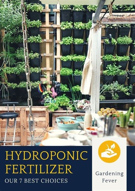 What Is Hydroponics Beginner S Complete Guide Artofit