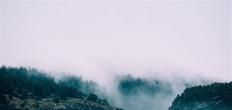 Gramatik And Ramzoid Unravel Dense Remix Of Flumes Wall Fuck EARMILK