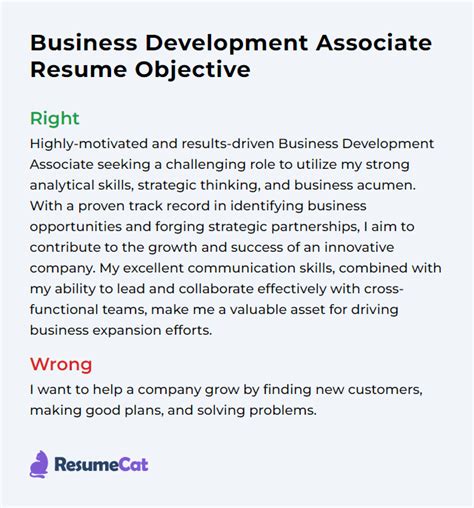 Top Business Development Associate Resume Objective Examples