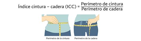 Como Se Escreve Cintura - Calculadora del Índice Cintura-Cadera (ICC)