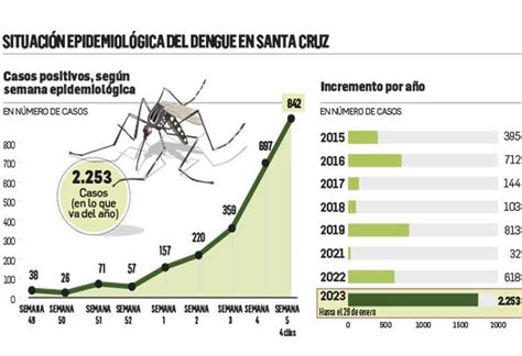 Dengue Azota A Los Ni Os Con Nuevos S Ntomas Y Cuadros Graves En Santa