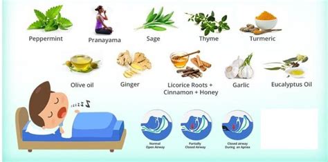 Home Remedies Of Snoring Philadelphia Holistic Clinic Dr Tsan And Assoc