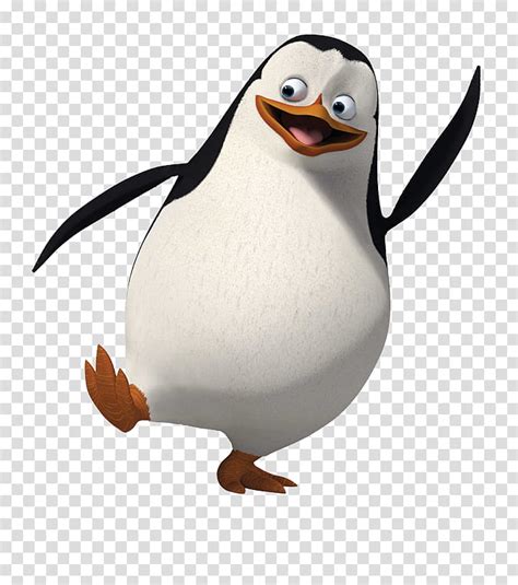 Penguin Private Skipper Madagascar Film Animation Penguins Of