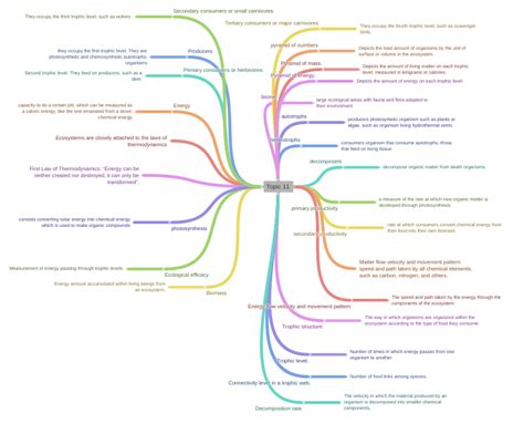 Topic 11 Coggle Diagram