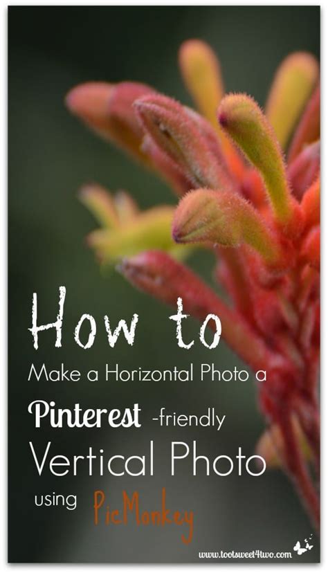 How To Make A Horizontal Photo A Pinterest Friendly Vertical Photo