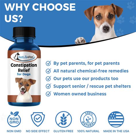 Otc Laxative For Dogs Online | www.danzhao.cc