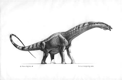 Dinosaur Pencil Drawing | Free download on ClipArtMag