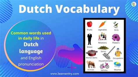 Learn Dutch Vocabulary Learn Entry