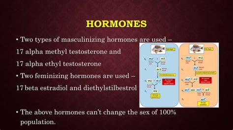 Hormonal Sex Manipulation PPT