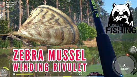 ZEBRA MUSSEL SPOTS Winding Rivulet Russian Fishing 4 YouTube