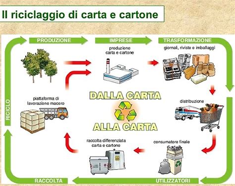 La Carta Dal Suo Riciclo Vantaggi Economici E Ambientali Lettore