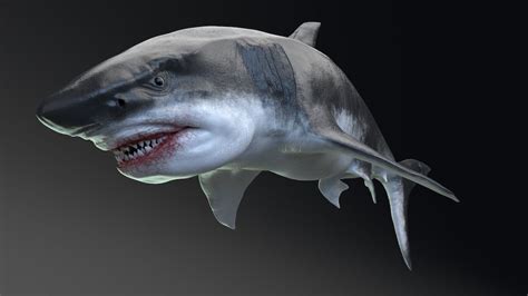 Megalodon The Giant Ancestor Of Today S Sharks Bbc Science Focus Magazine