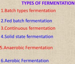 Different types of fermentation and their examples - Ox Science