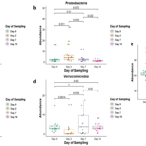 The Relative Abundance In Of The Phyla A Actinobacteria B