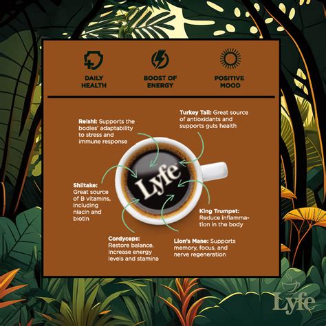 Lyfe Brew Instant Arabica Mushroom Coffee