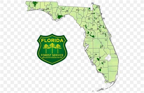 Florida National Scenic Trail United States Forest Service Map Png