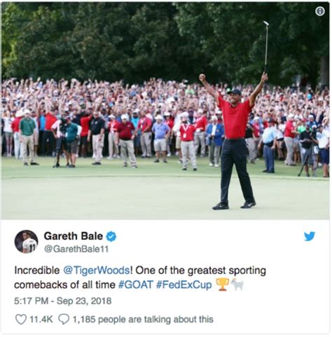 After Tiger Won His First Pga Tournament In Years Twitter Went Bonkers