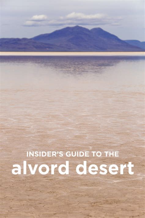 Alvord Desert Oregon - What You Need to Know Before You Go