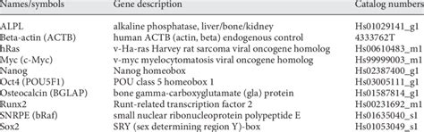 List Of Primers Used In The Qrt Pcr Analysis Download Table