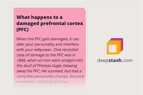 What happens to a damaged prefrontal cortex (PFC) - Deepstash